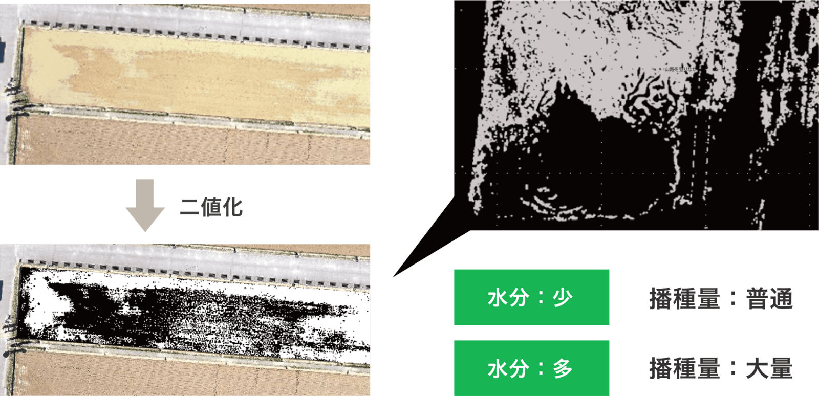 ⼟壌状態に応じた直播技術の確立