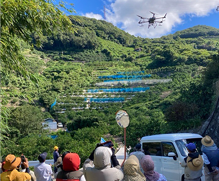 みかん畑の上空でドローンが農薬散布を実演。参加者が地上から見学している様子