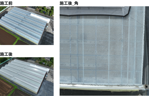神奈川県の農業用温室における施工前全体・施工後全体・施工後の角を大きく見せた事例写真
