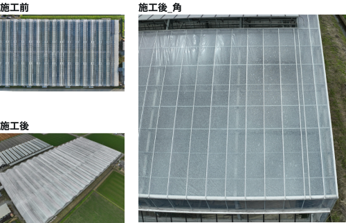 宮城県の農業用温室における施工前全体・施工後全体・施工後の角を大きく見せた事例写真