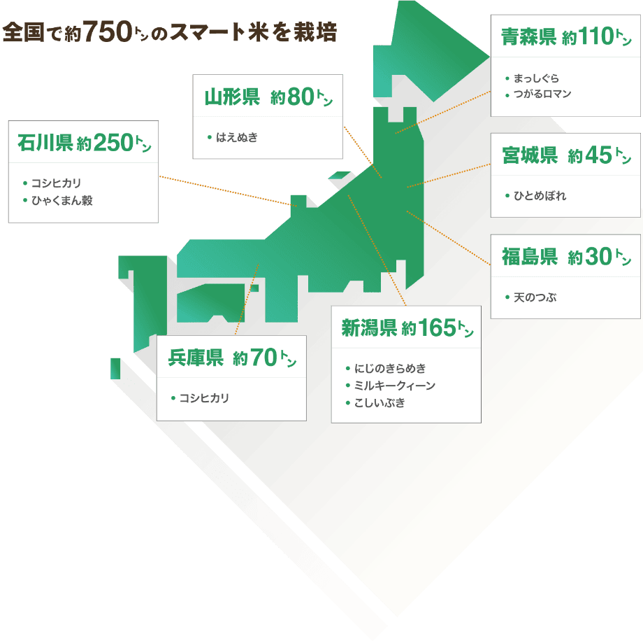 スマート米の栽培、販売実績