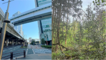 山間部の風景写真