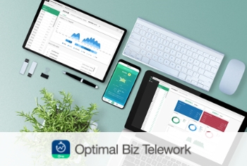 Biz Telework