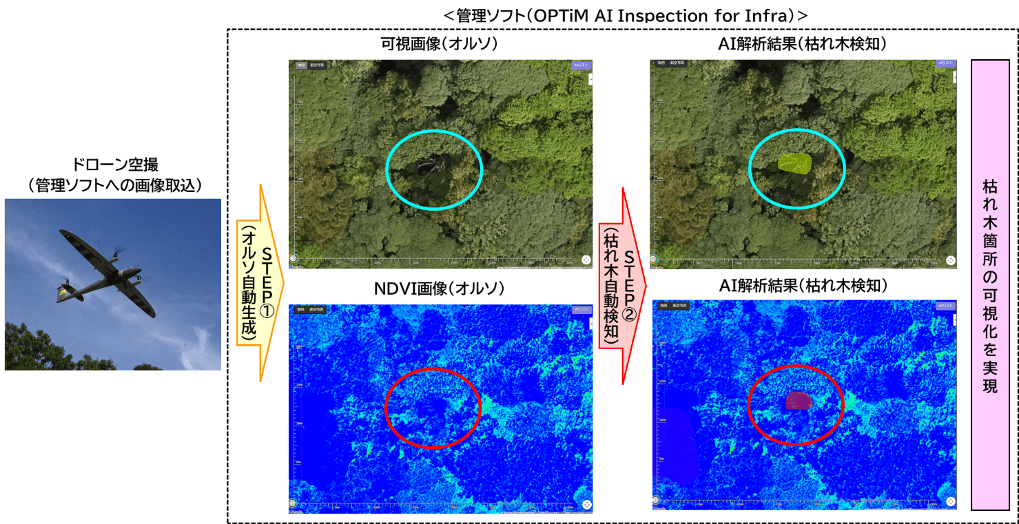 【機能①】可視画像とNDVI画像を活用した枯れ木AI検知のイメージ画像